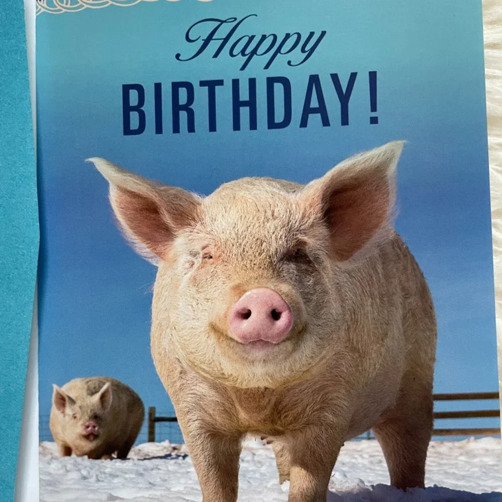 6 Assorted Greeting cards with matching print envelopes (PETA) Blank Inside